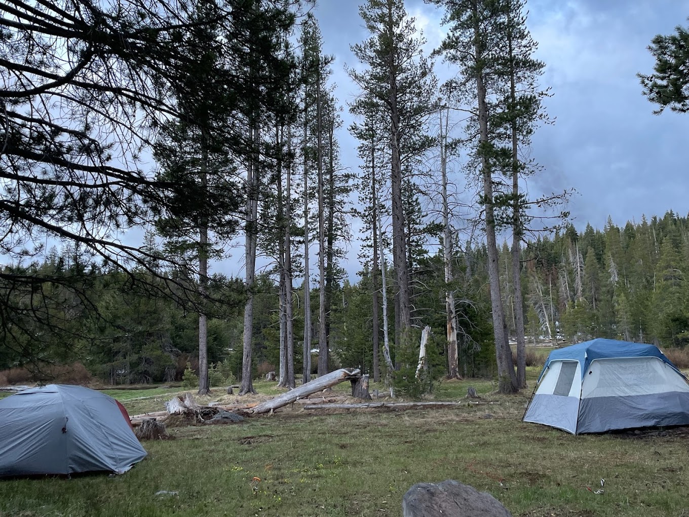Sagehen Campground