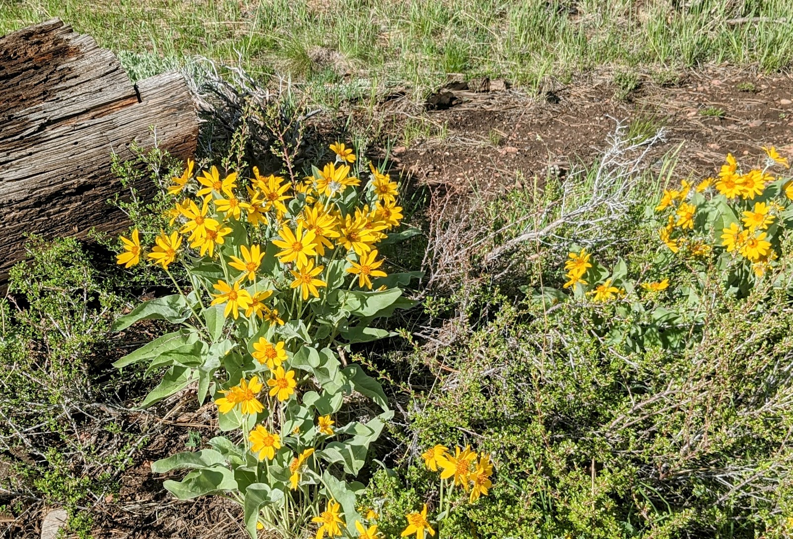 Greens Lake Campground