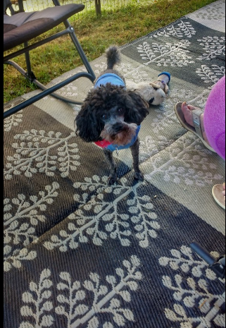 Citrus Mobile & RV Park