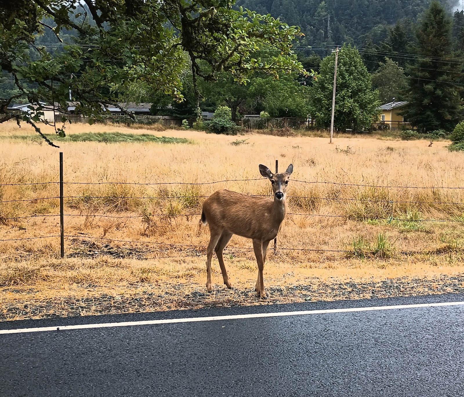 Kimball Creek Bend RV Resort