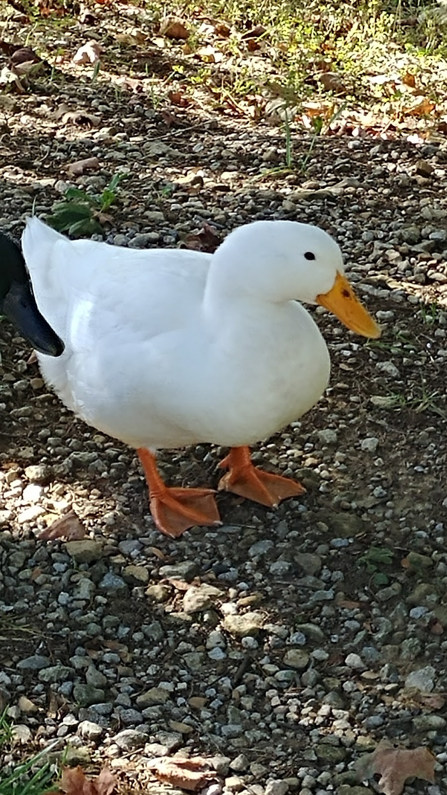 Bourbon County Fairgrounds