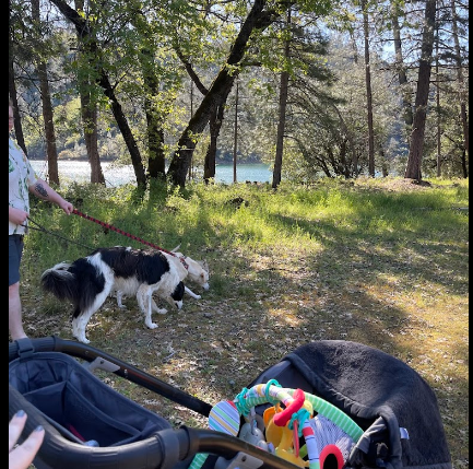 Lakeshore Inn and RV