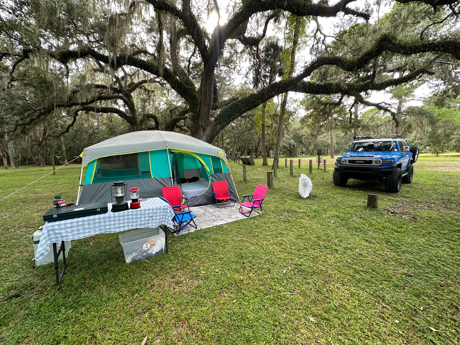 River Forest Group Site