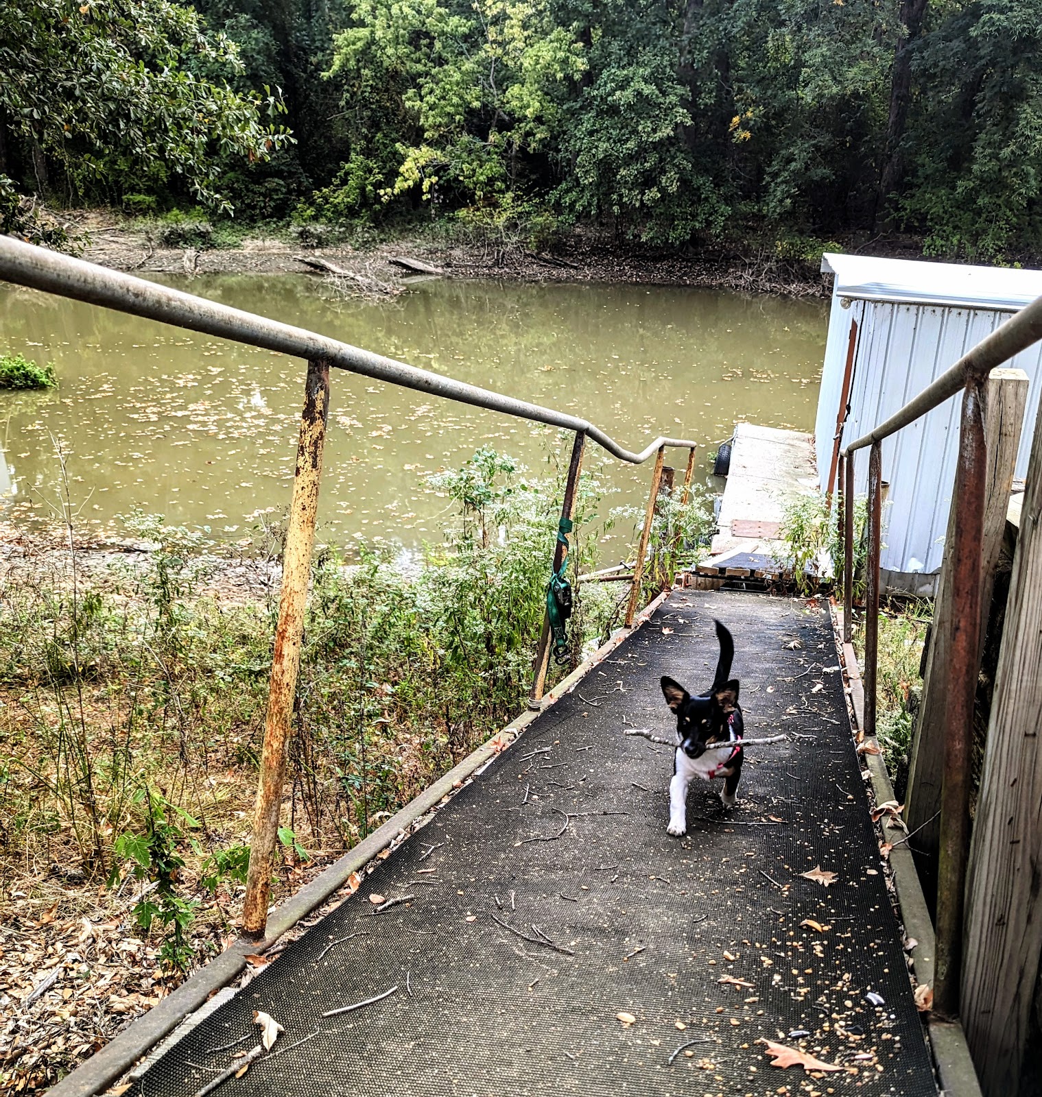 St. Francis Sunken Lands Wildlife Management Area