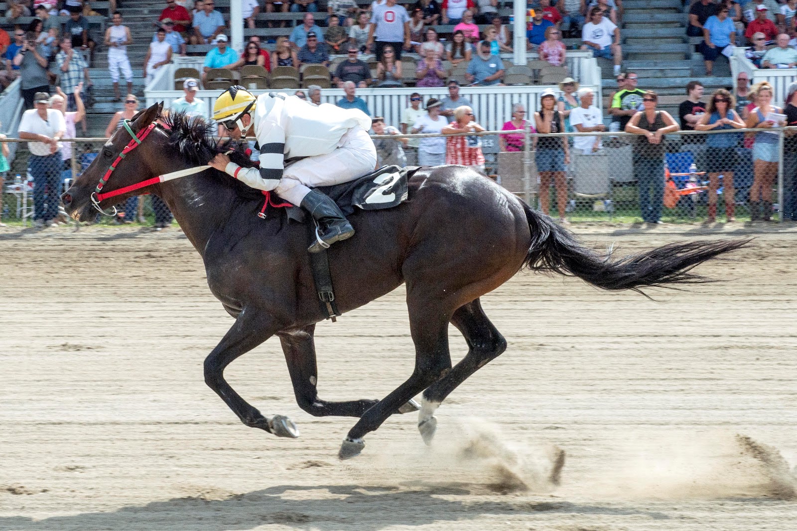 Van Wert County Fair Board