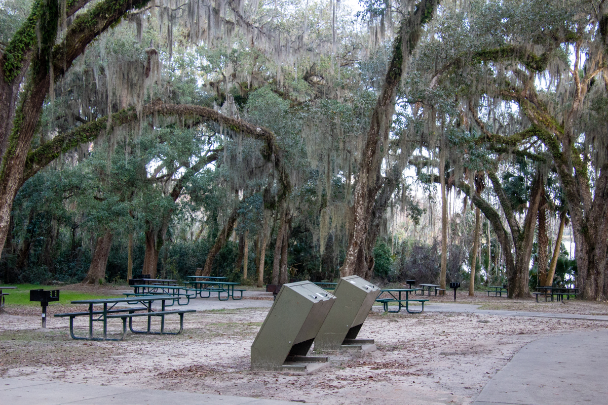 Salt Springs NF Campground