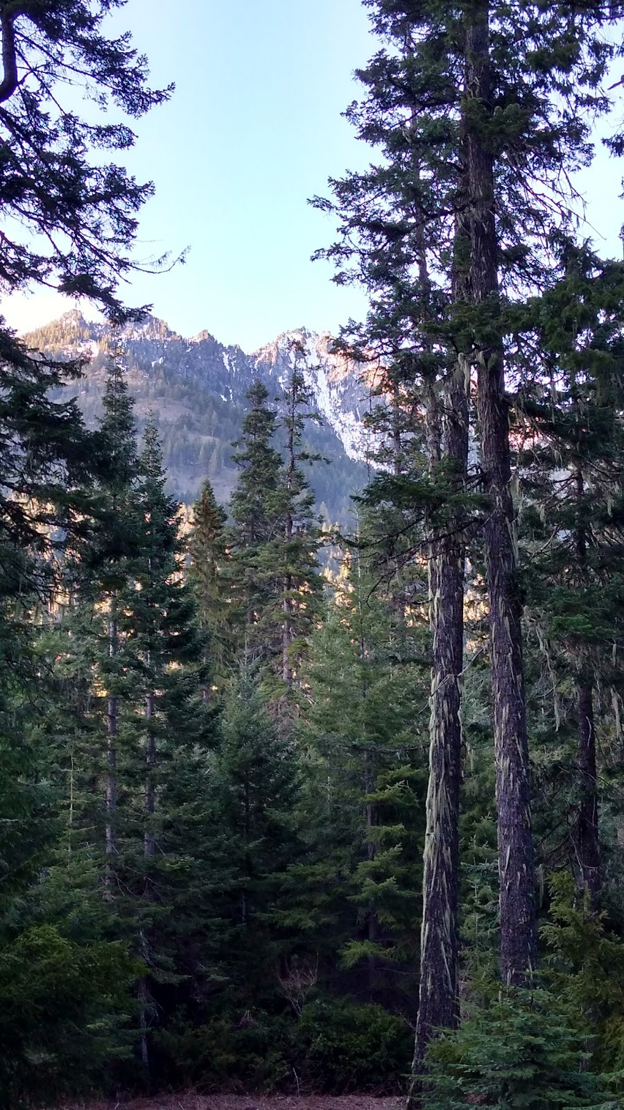 Black Pine Horse Camp