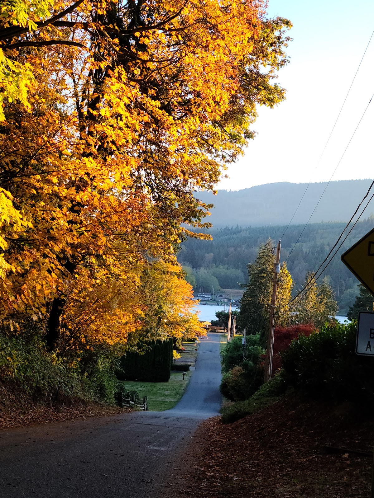 Lake Samish Terrace