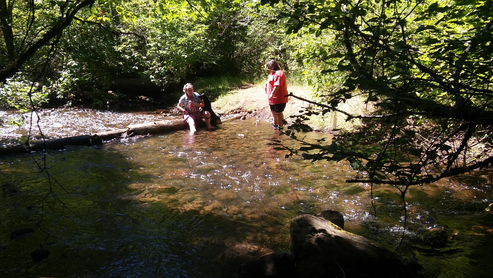 Fourbit Ford Campground