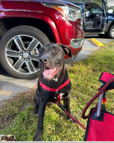 Whispering Pines Campground