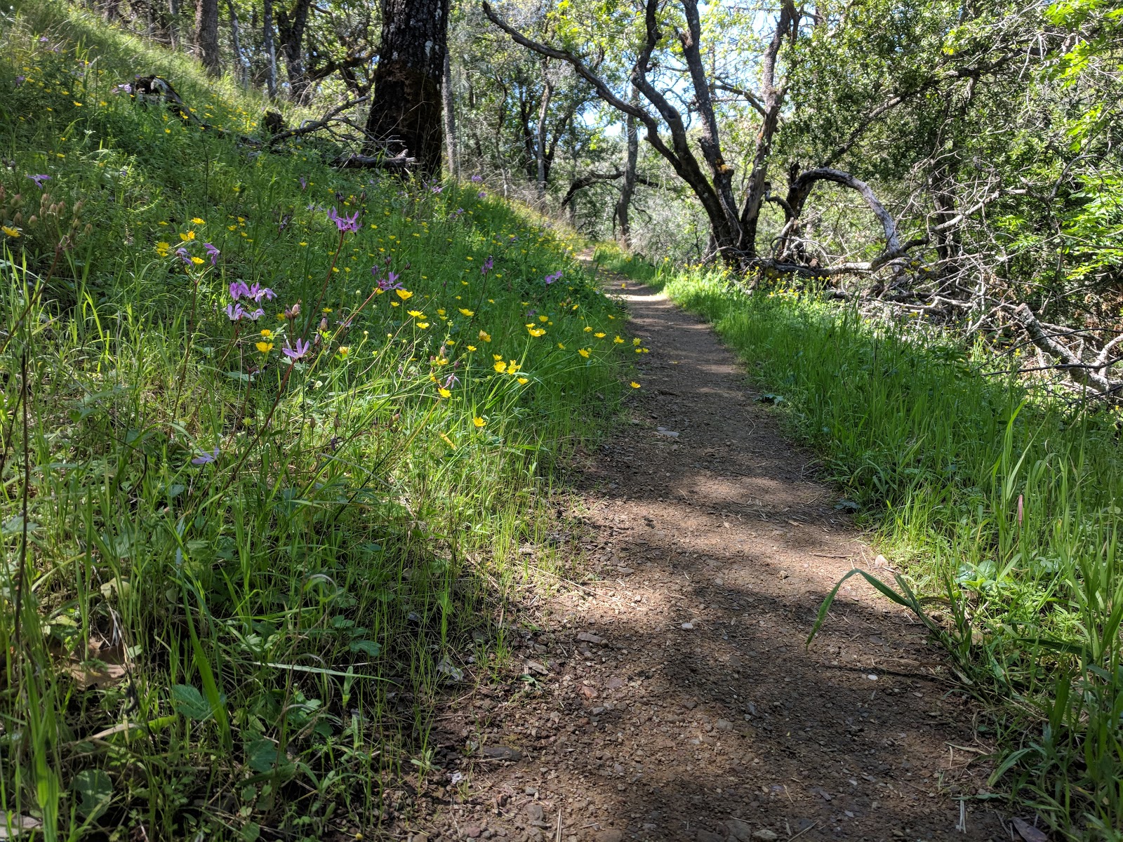 Henry W. Coe State Park