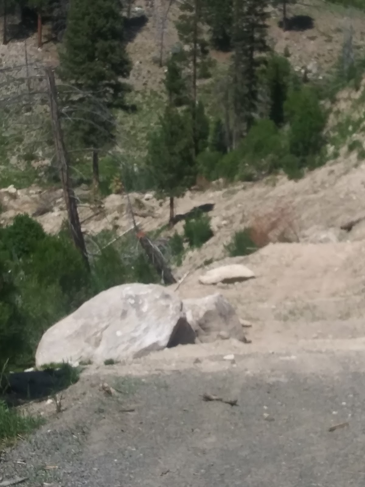 Stolle Meadows Cabin