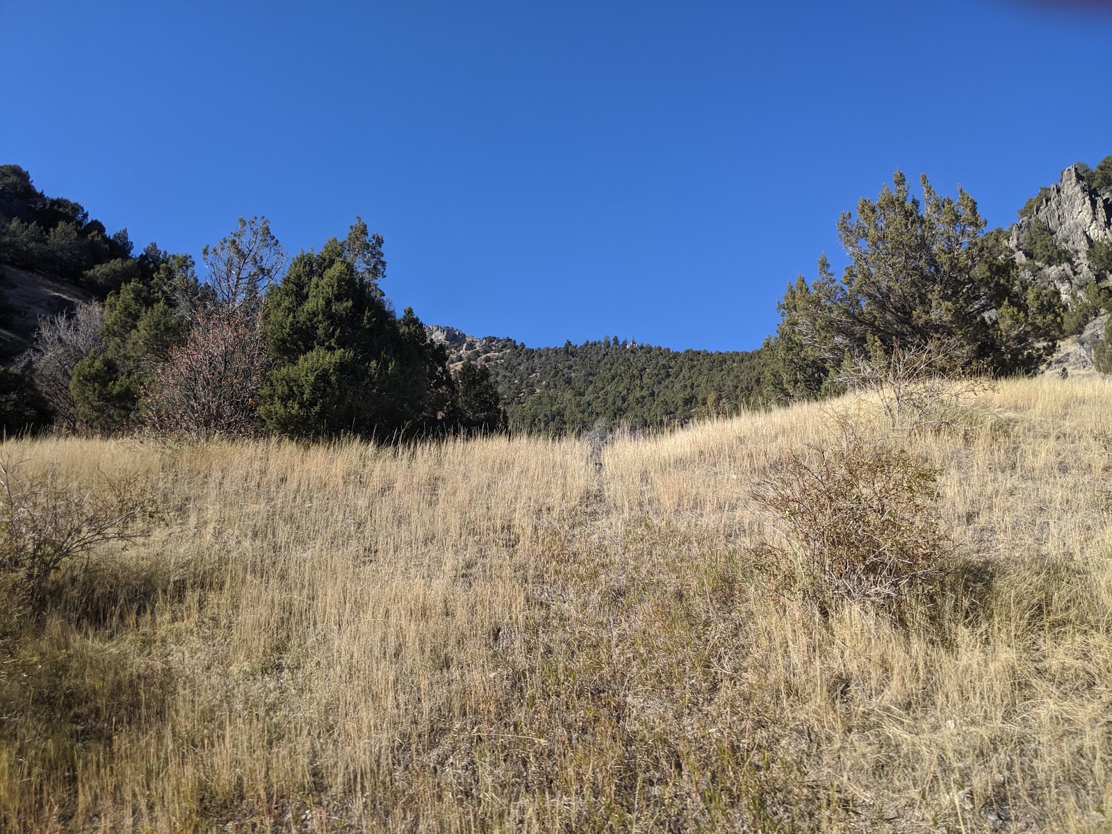 Preston Valley Campground