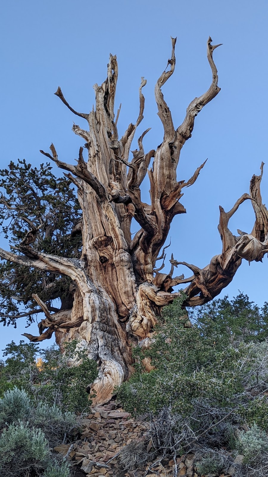 Big Meadow Campground