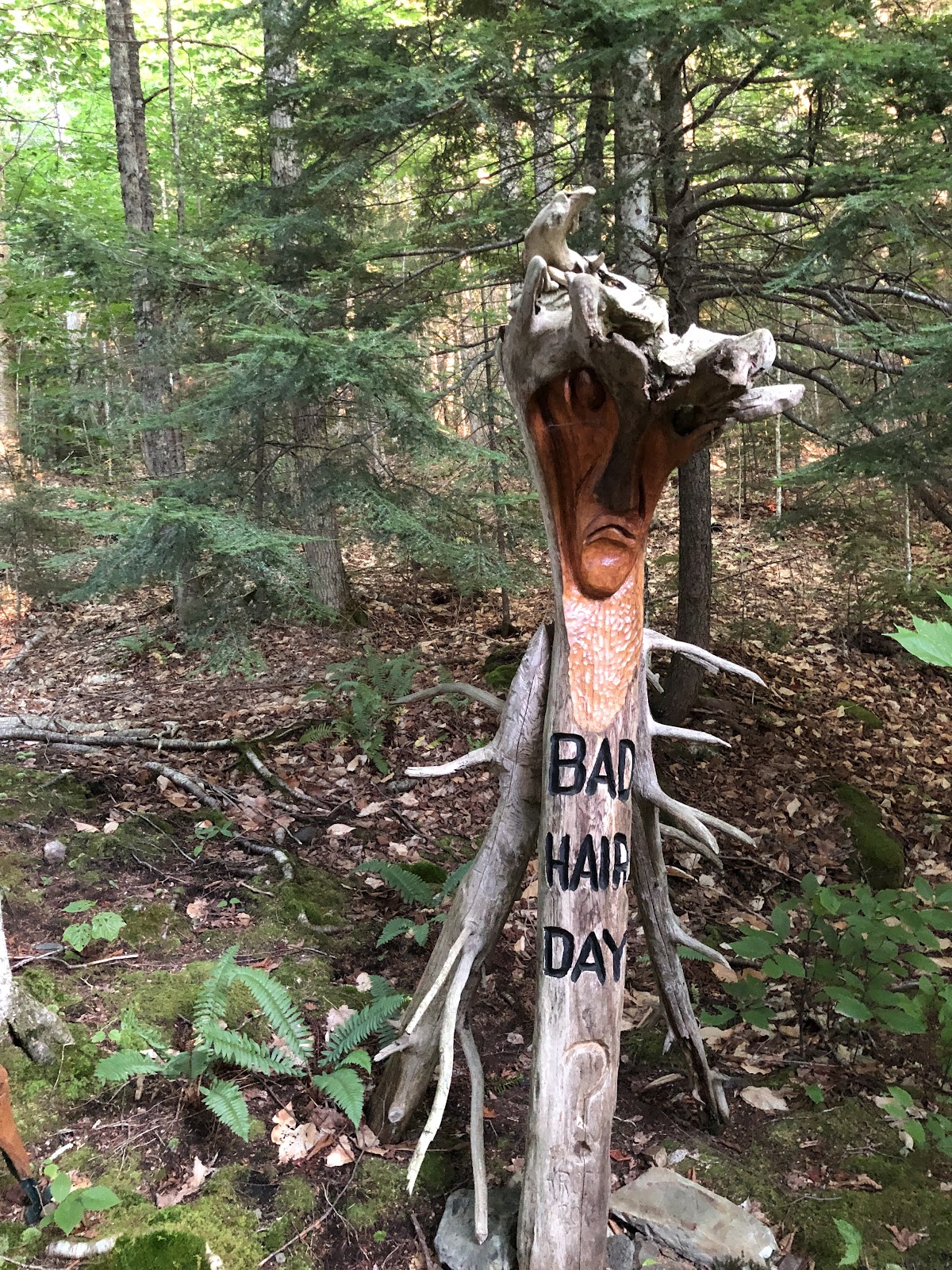 Pleasant Lake Camping Area