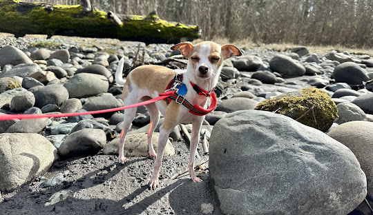 Game Farm Wilderness Park