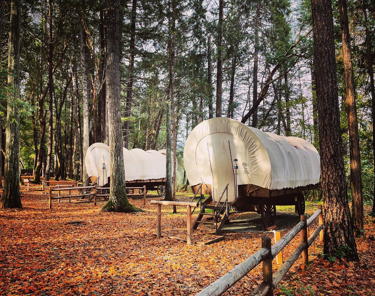 Grants Pass/Sunny Valley KOA