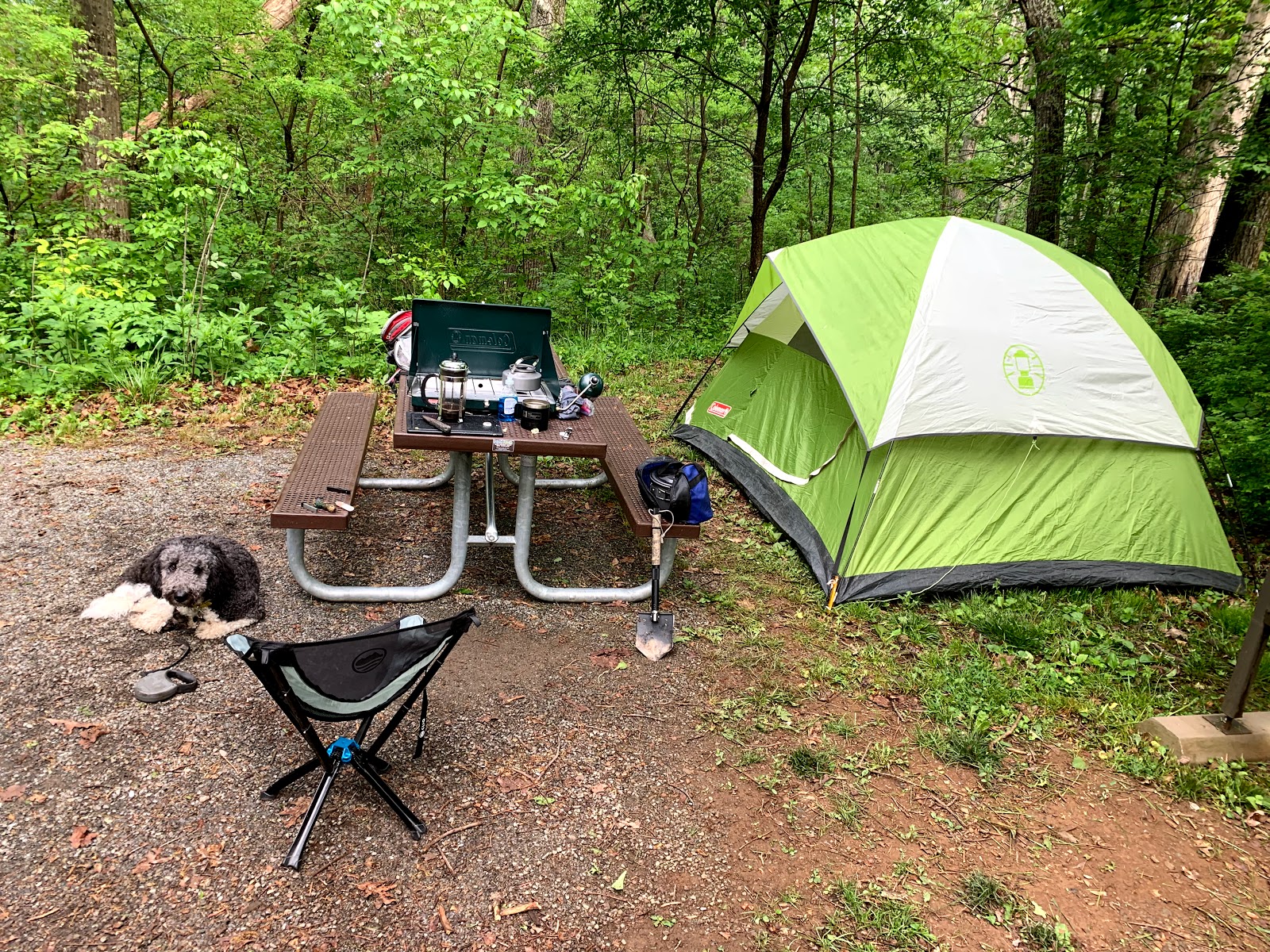 Mathews Arm Campground - Shenandoah National Park