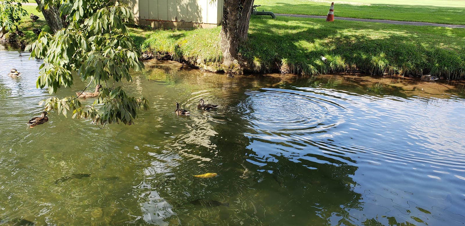 Mill Race Golf and Camping Resort