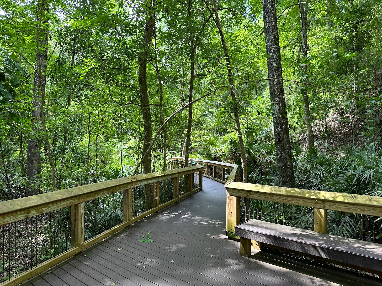 Mike Roess Gold Head Branch SP