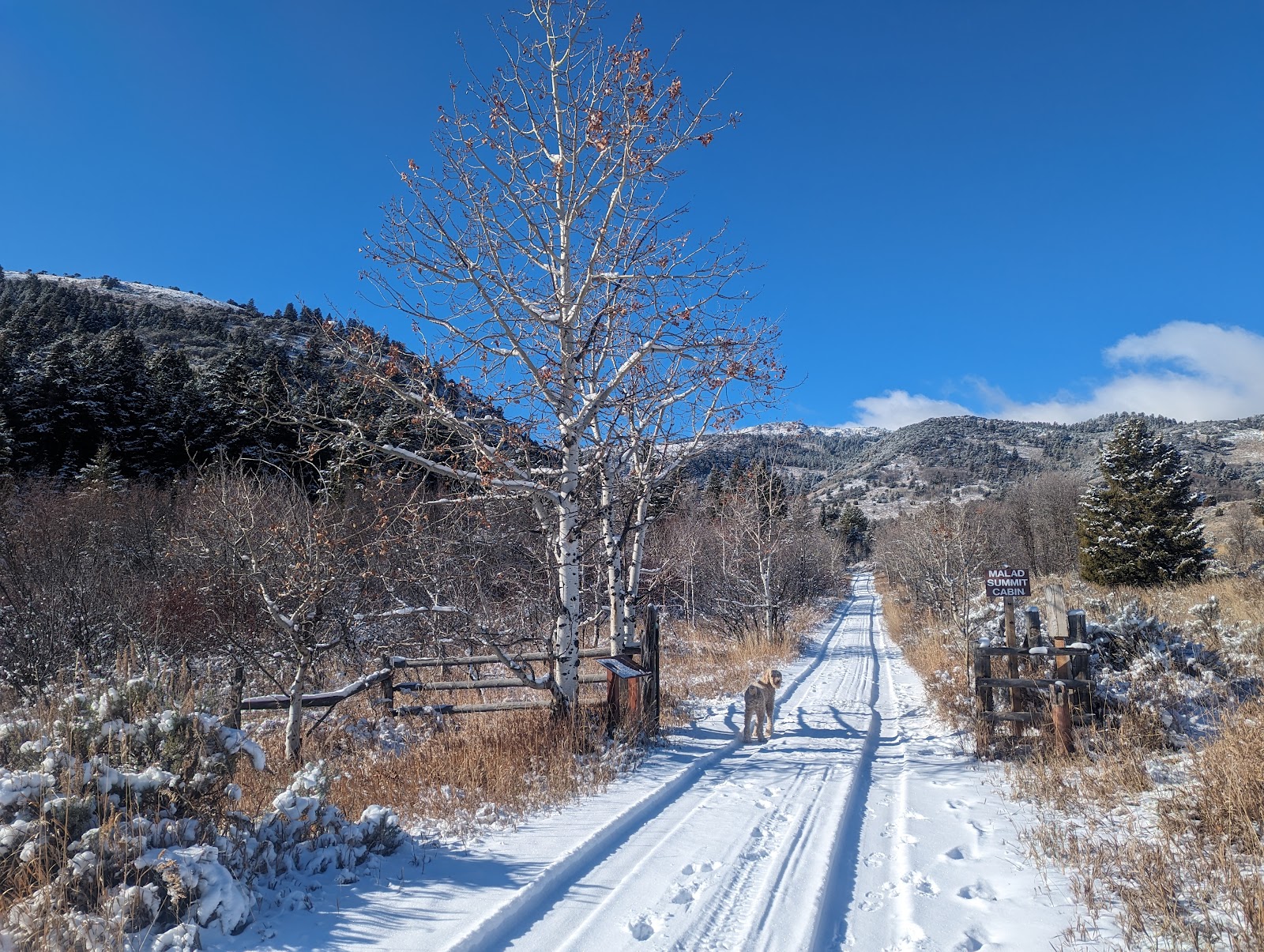 Malad Summit Campground