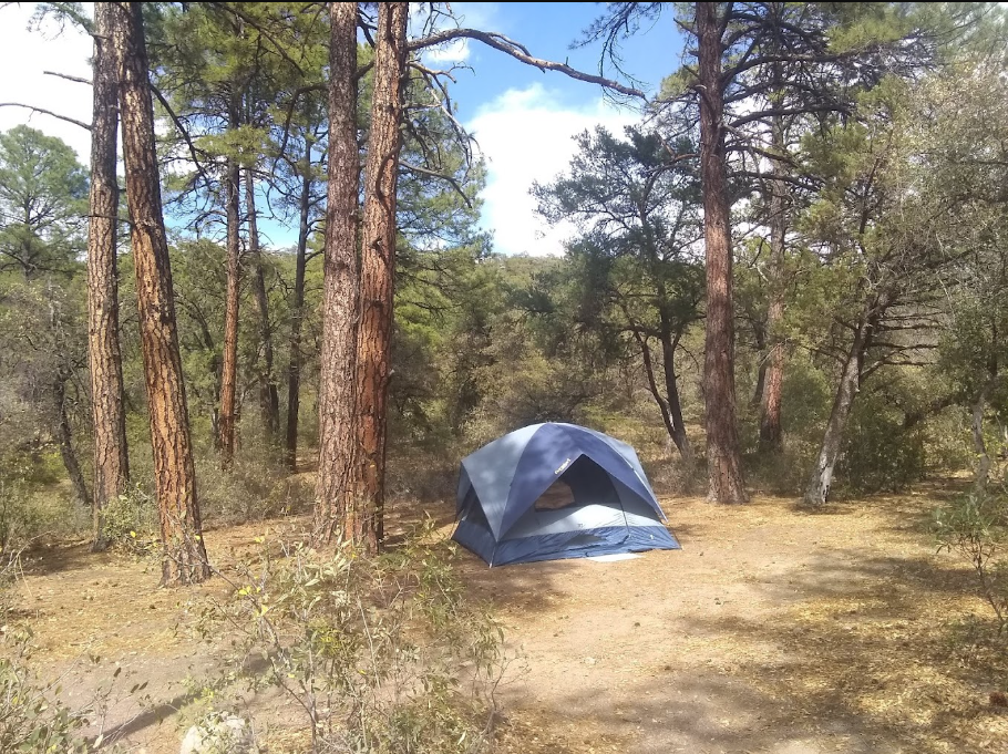 Black Jack Campground
