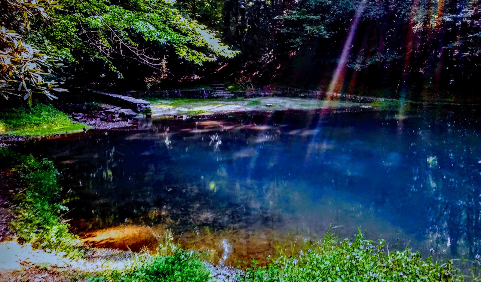 Cave Springs Recreation Area