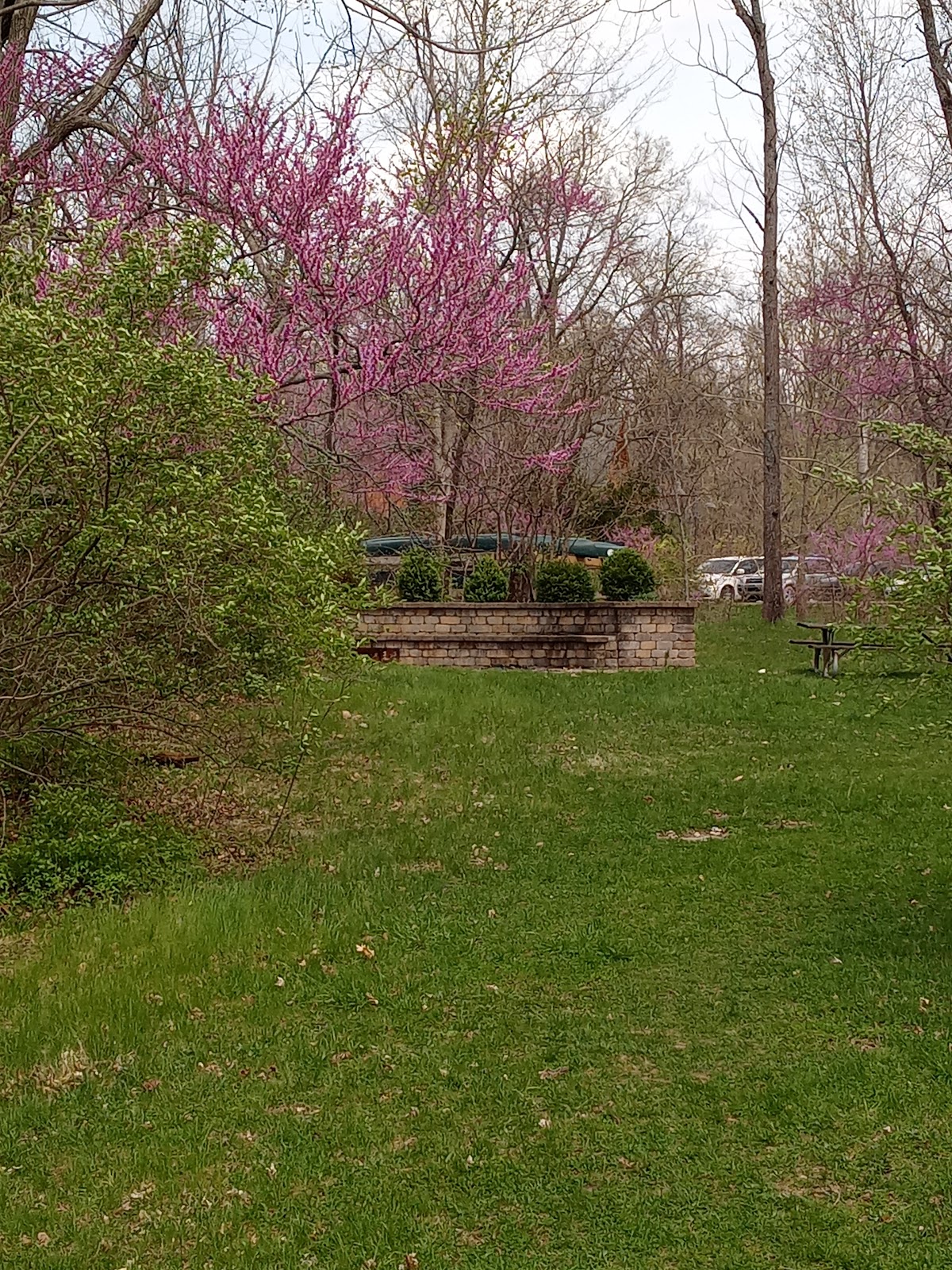 Go Ape Zipline & Adventure Park