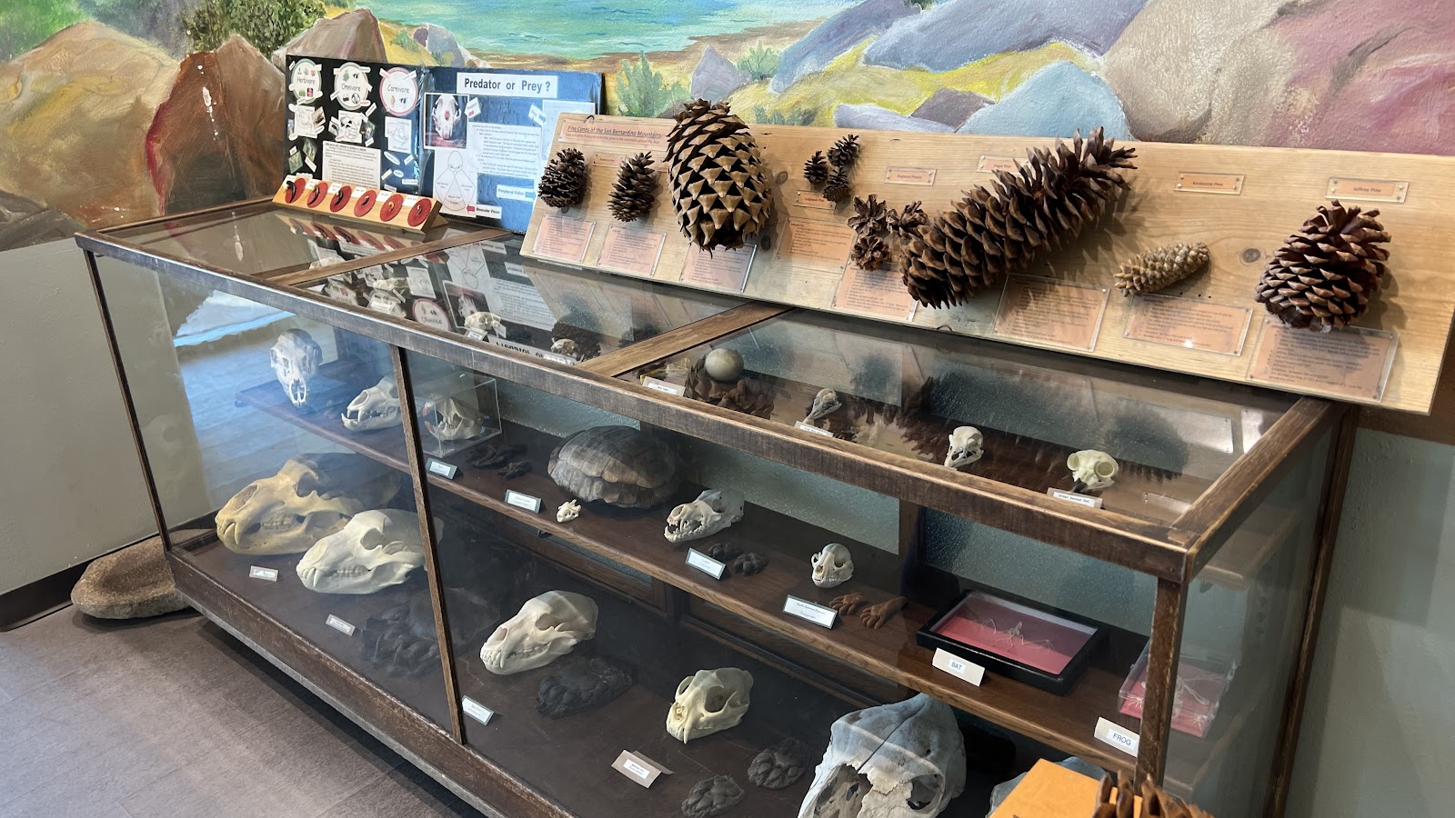 South Fork Campground