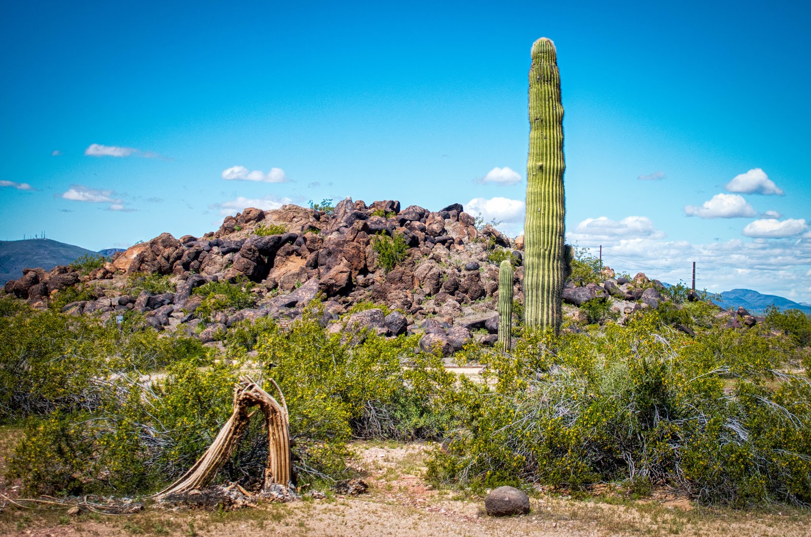 Painted Rock Petroglyph Campground