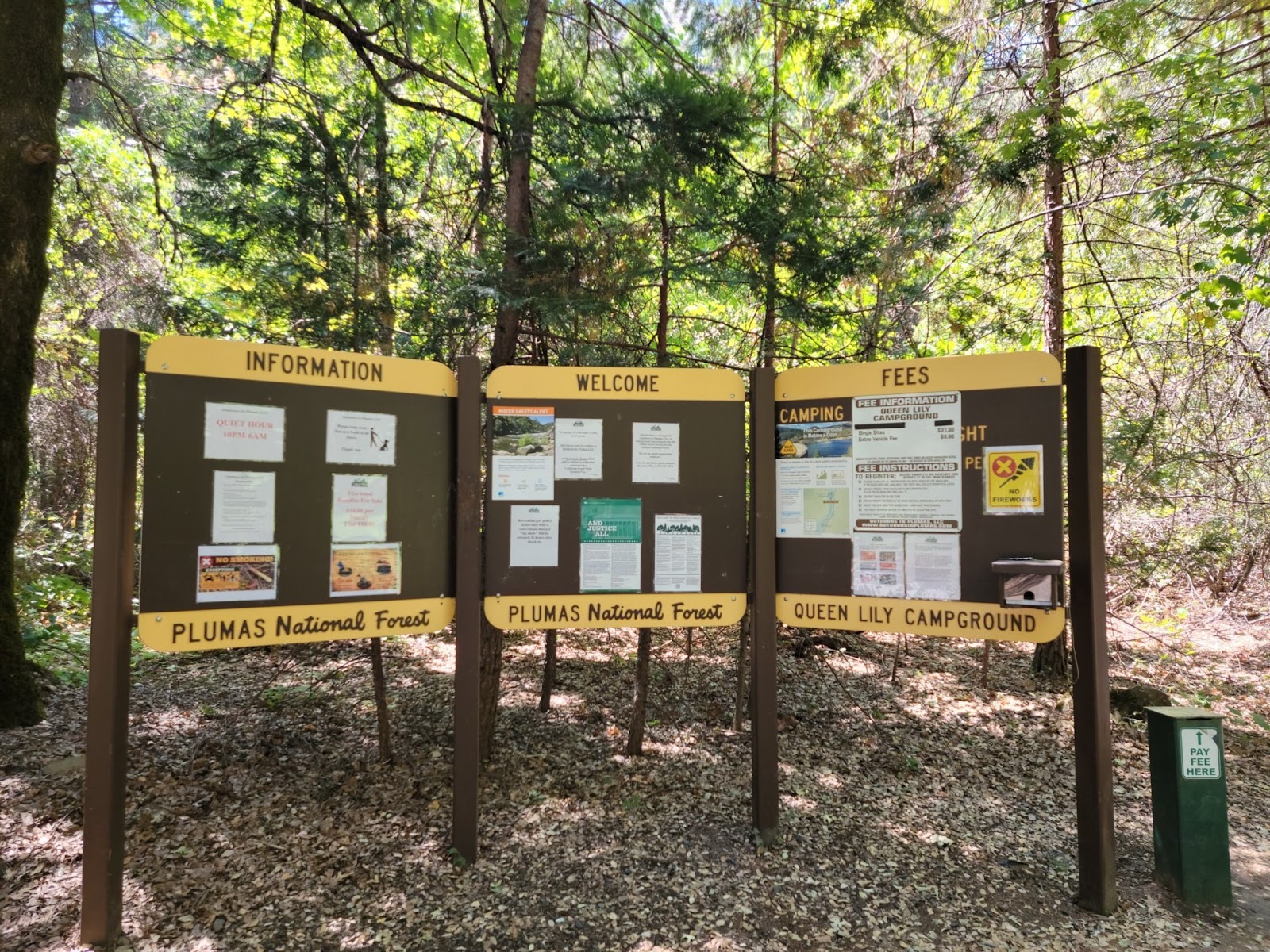 Queen Lily Campground