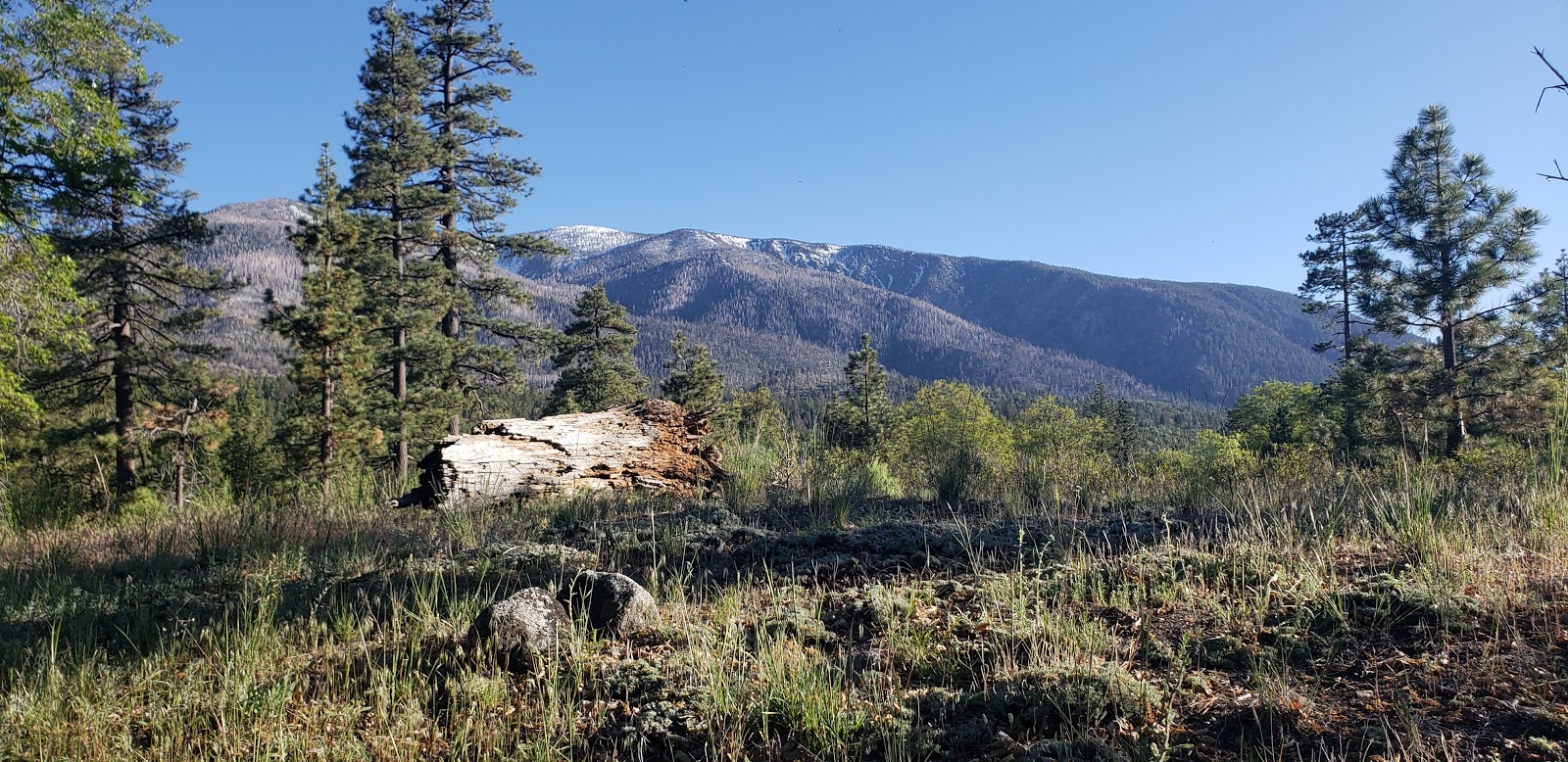 Oso Group Campground