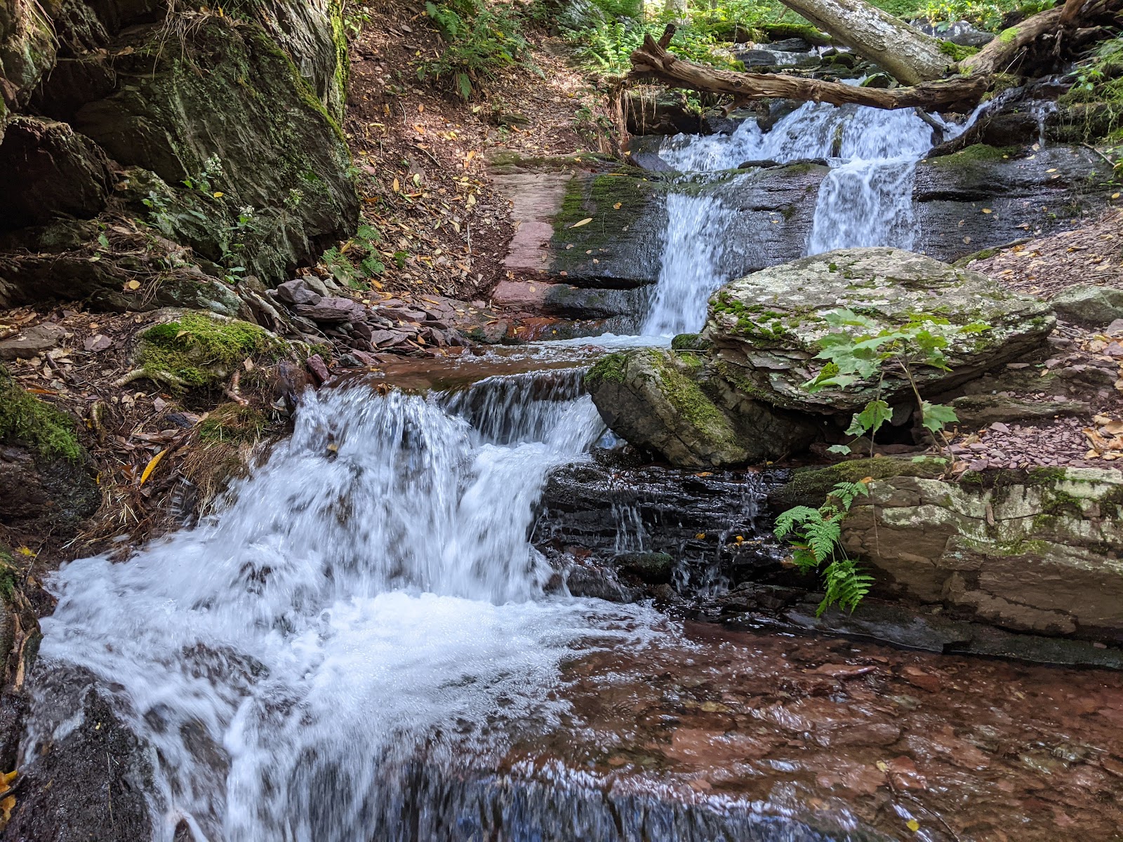 Worthington State Forest