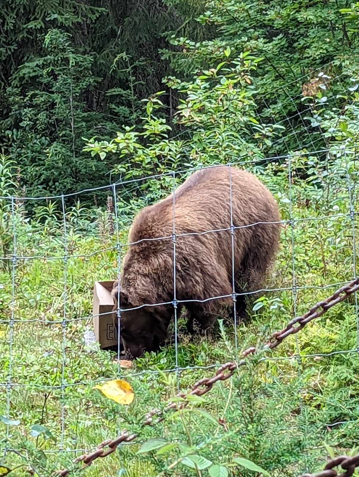 The Kroschel Wildlife Center