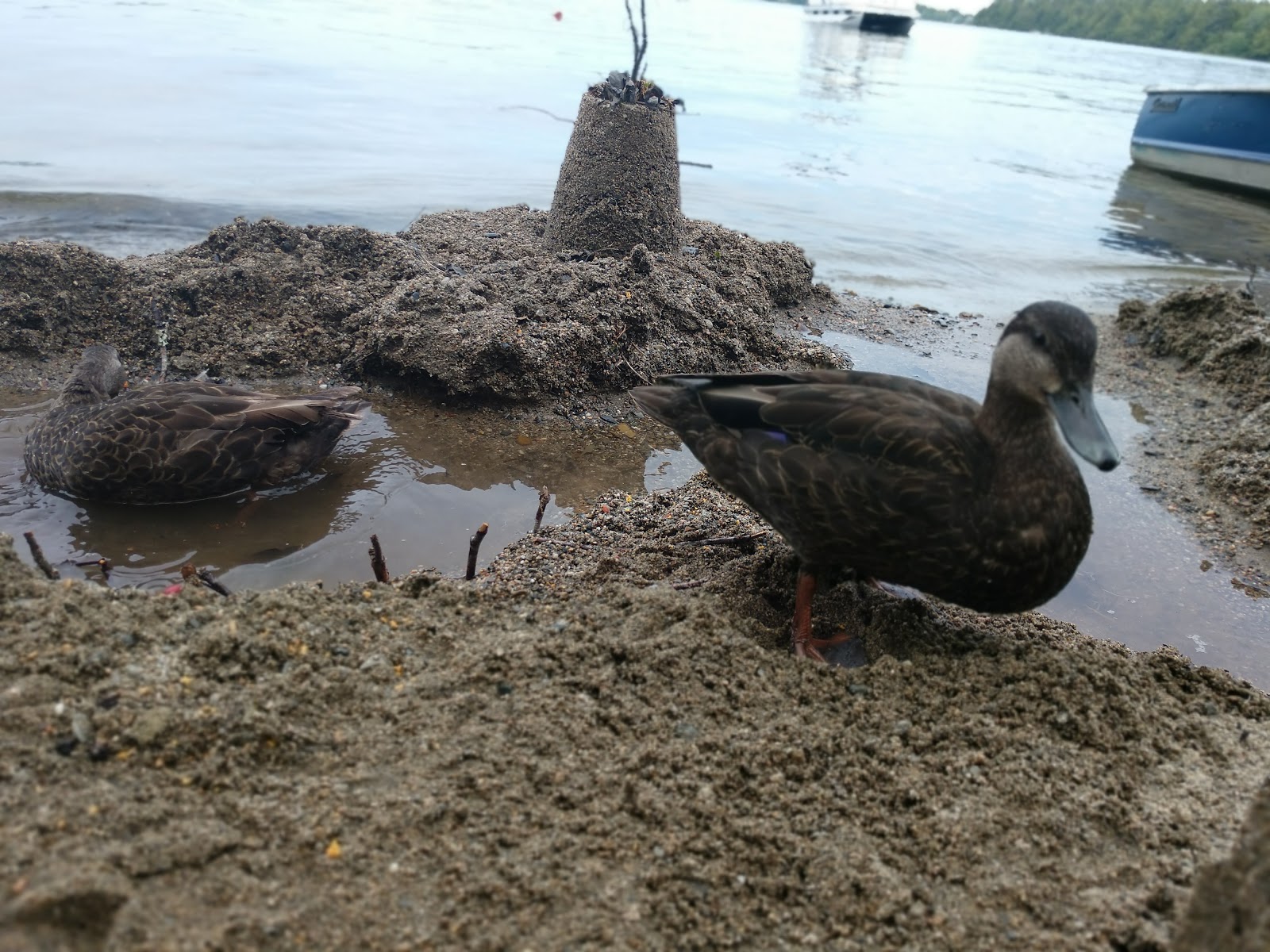 Pleasant Lake Camping Area