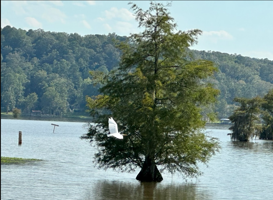 Cypress Landing RV Park