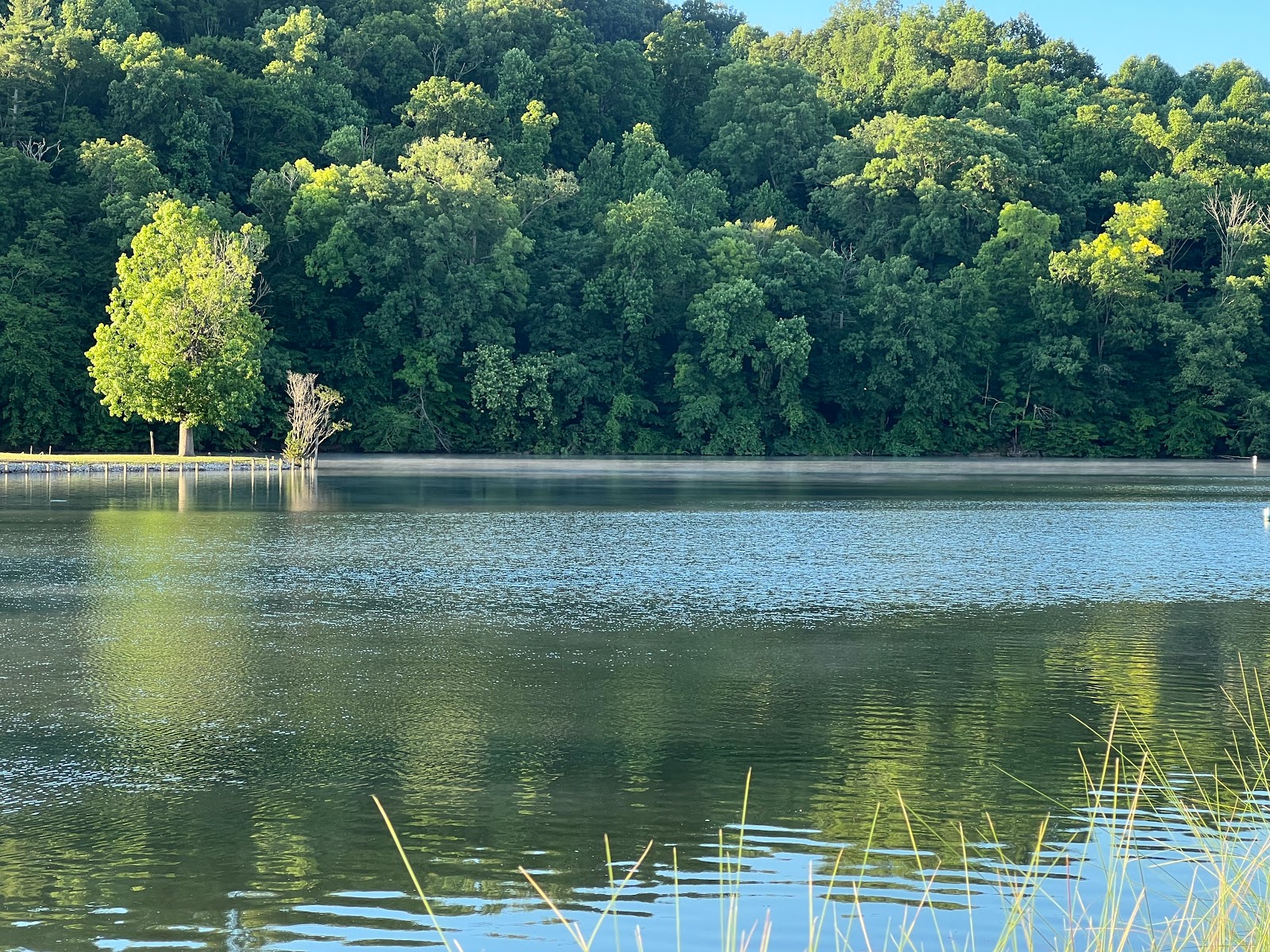 Caney Creek RV Resort & Marina