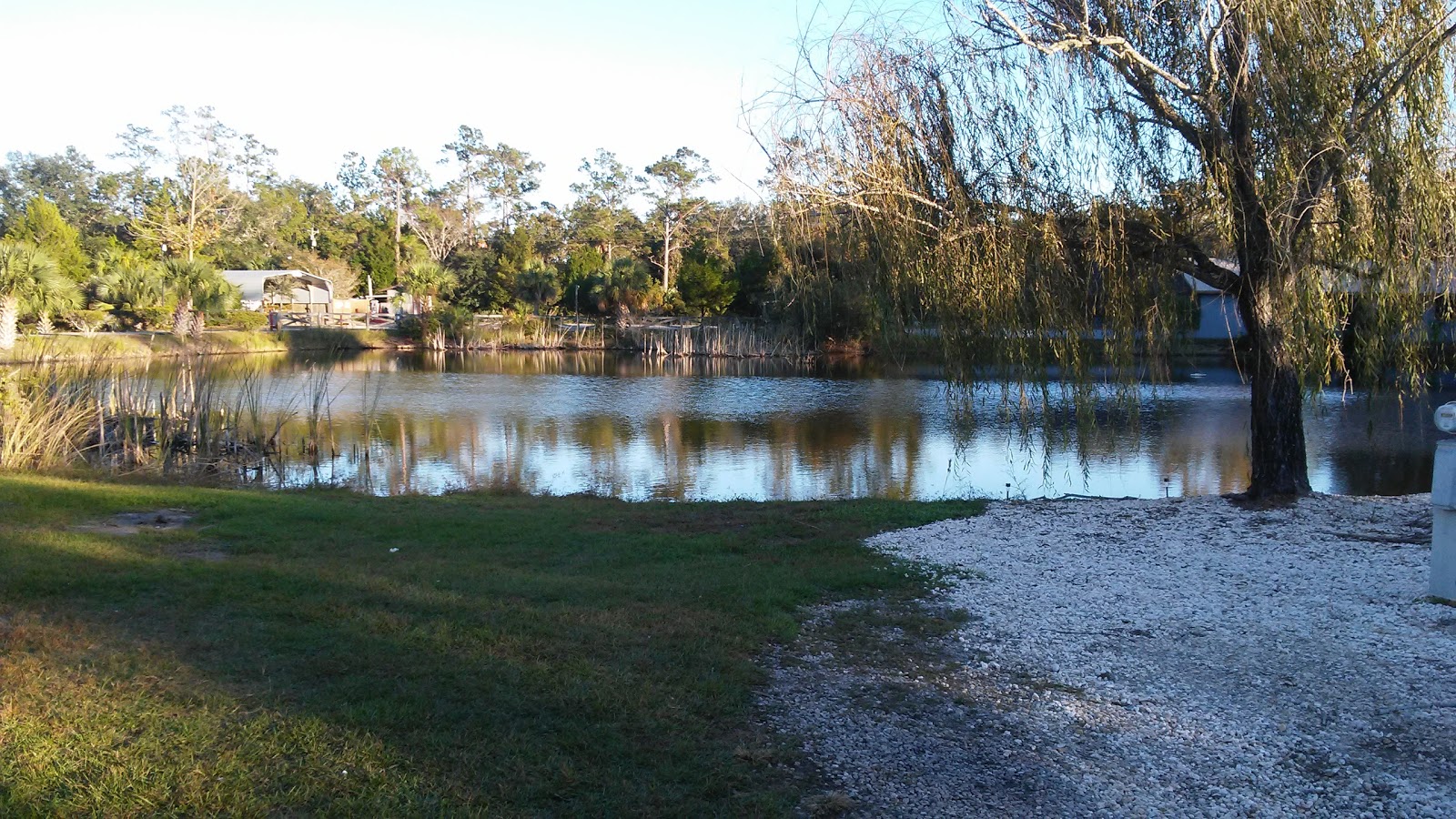 Econfina River Resort