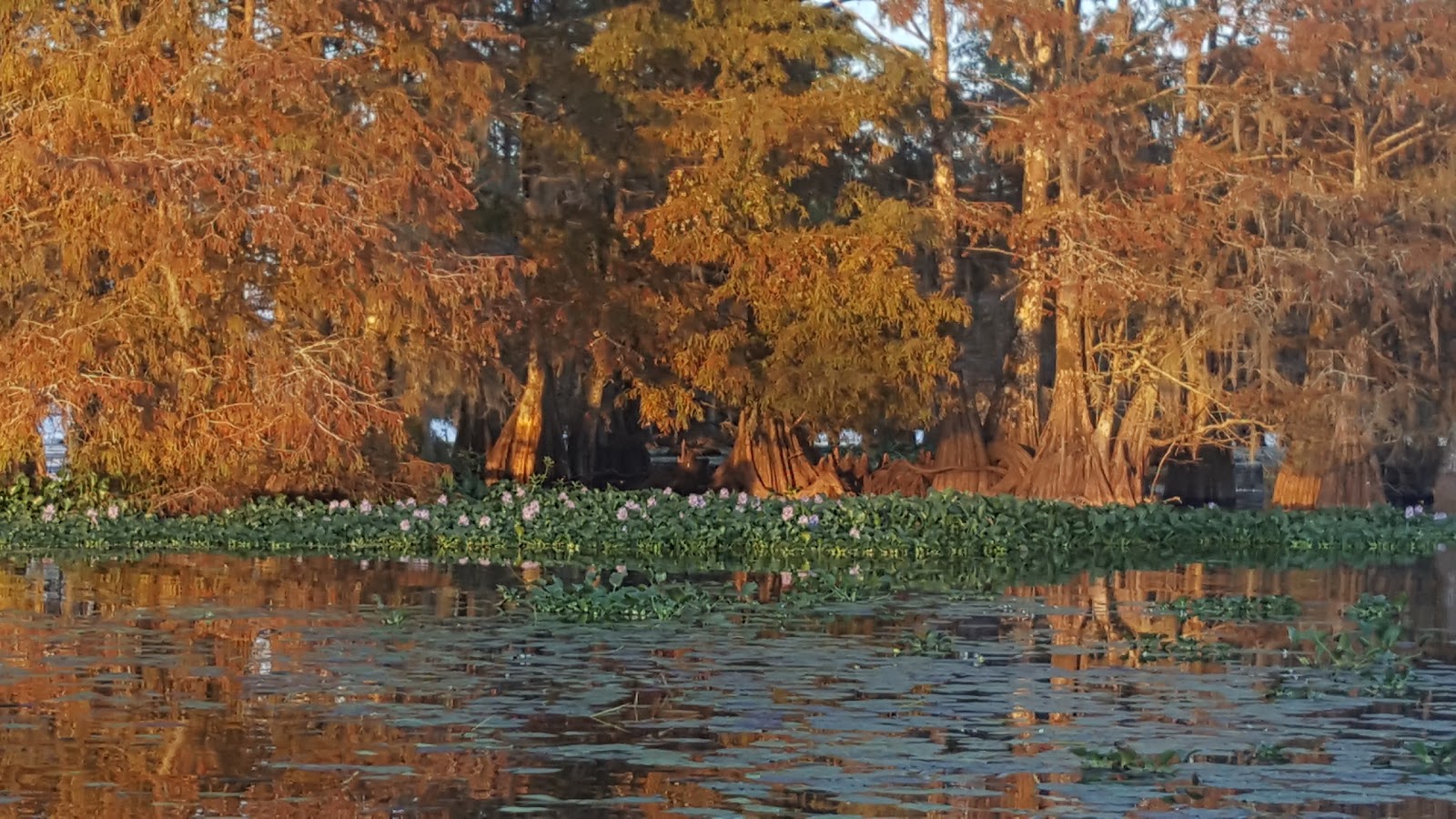 Jack's Creek Marina And Campground
