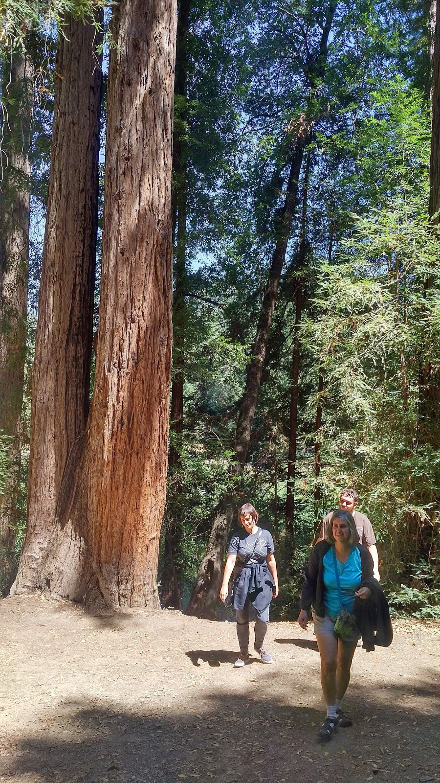 Austin Creek State Rec. Area