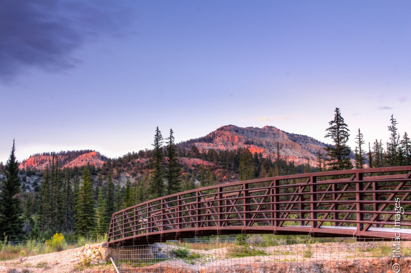 Pine Lake Campground