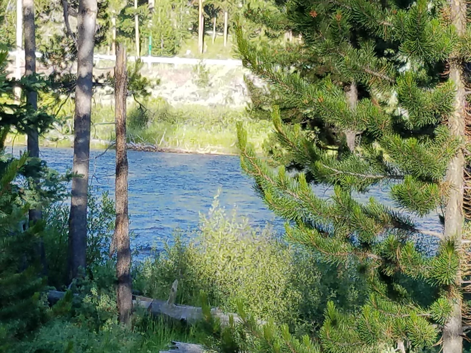 Casino Creek Campground