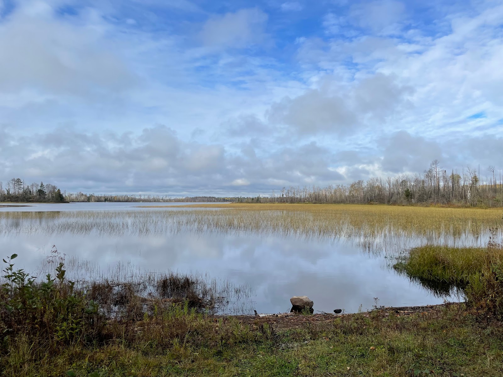 McDougal Lake Campground