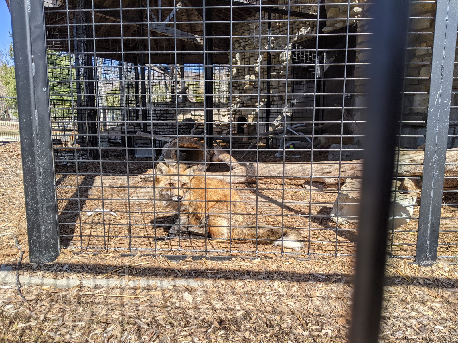 Oxbow Park and Zollman Zoo Campground