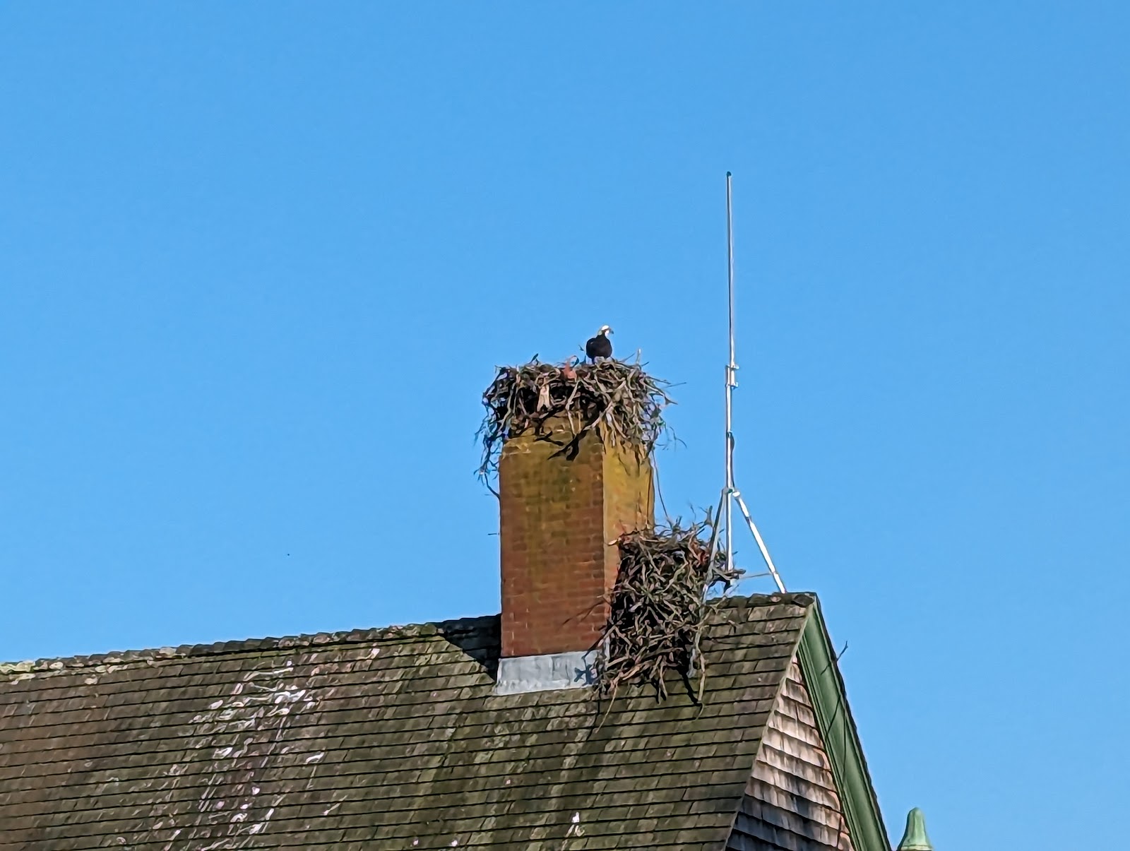 Waquoit Bay National Estuarine