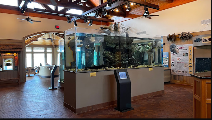 Lake Dardanelle State Park