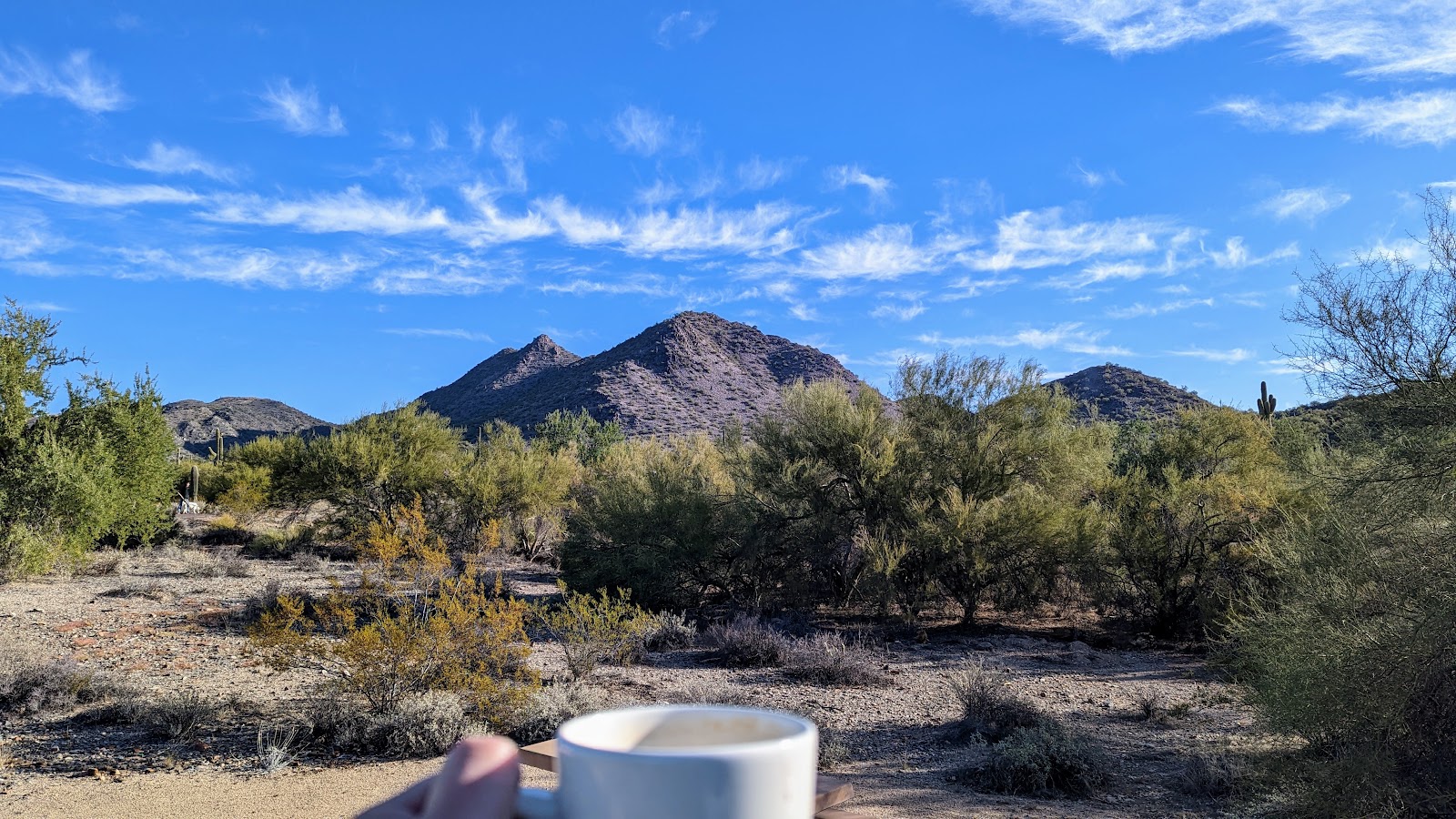Cave Creek Regional Park Campgrounds