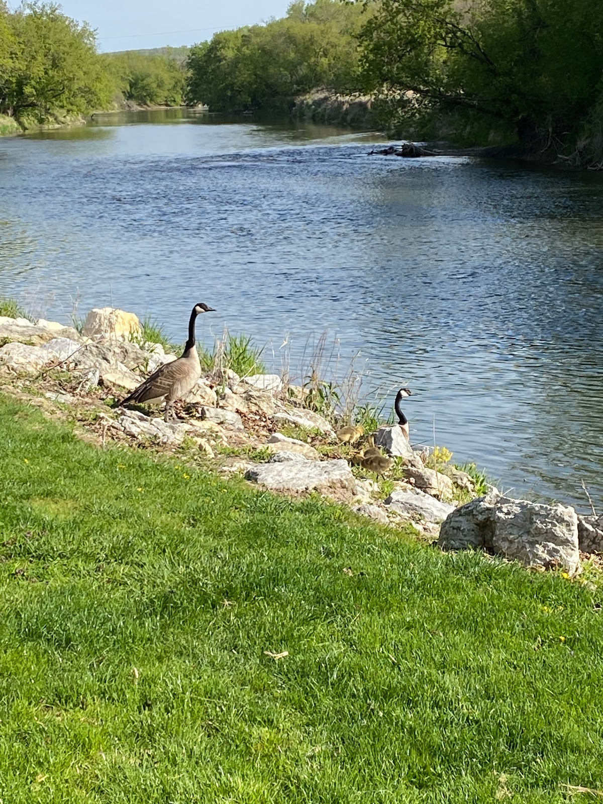 Pulpit Rock Campground