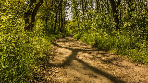 Lake Charles State Park