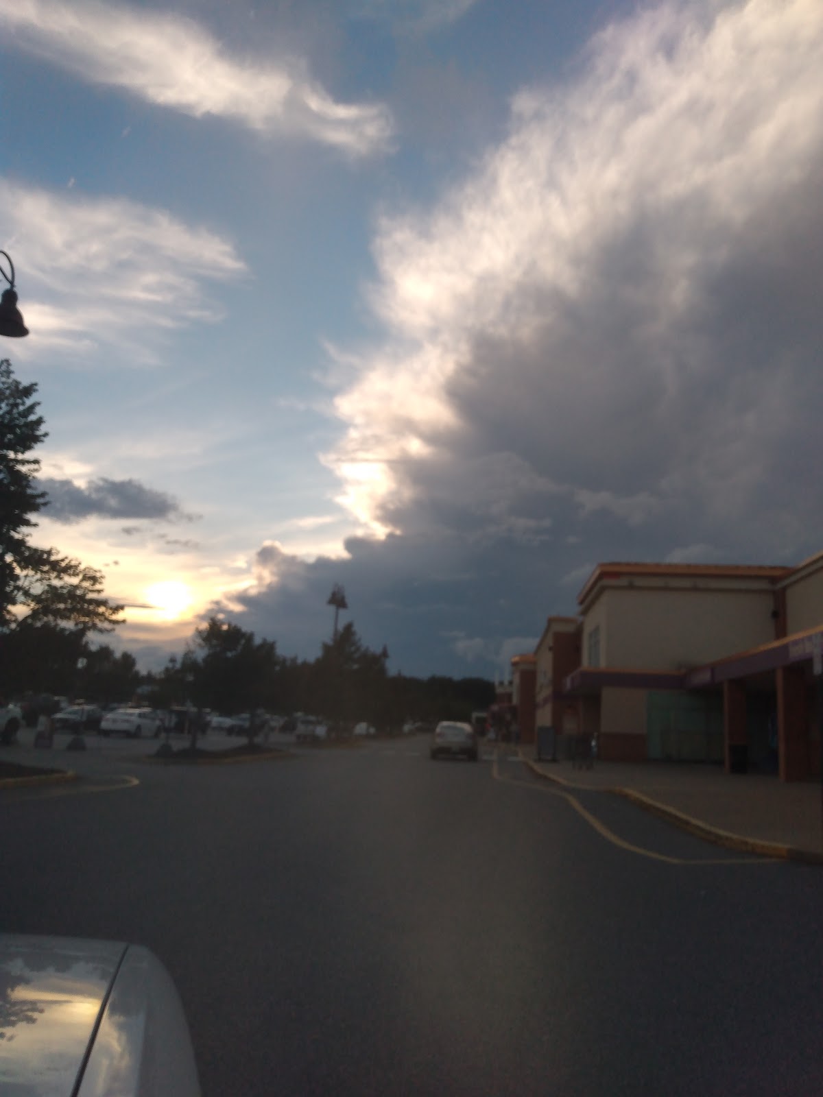 Rocky Branch Marina & Campground